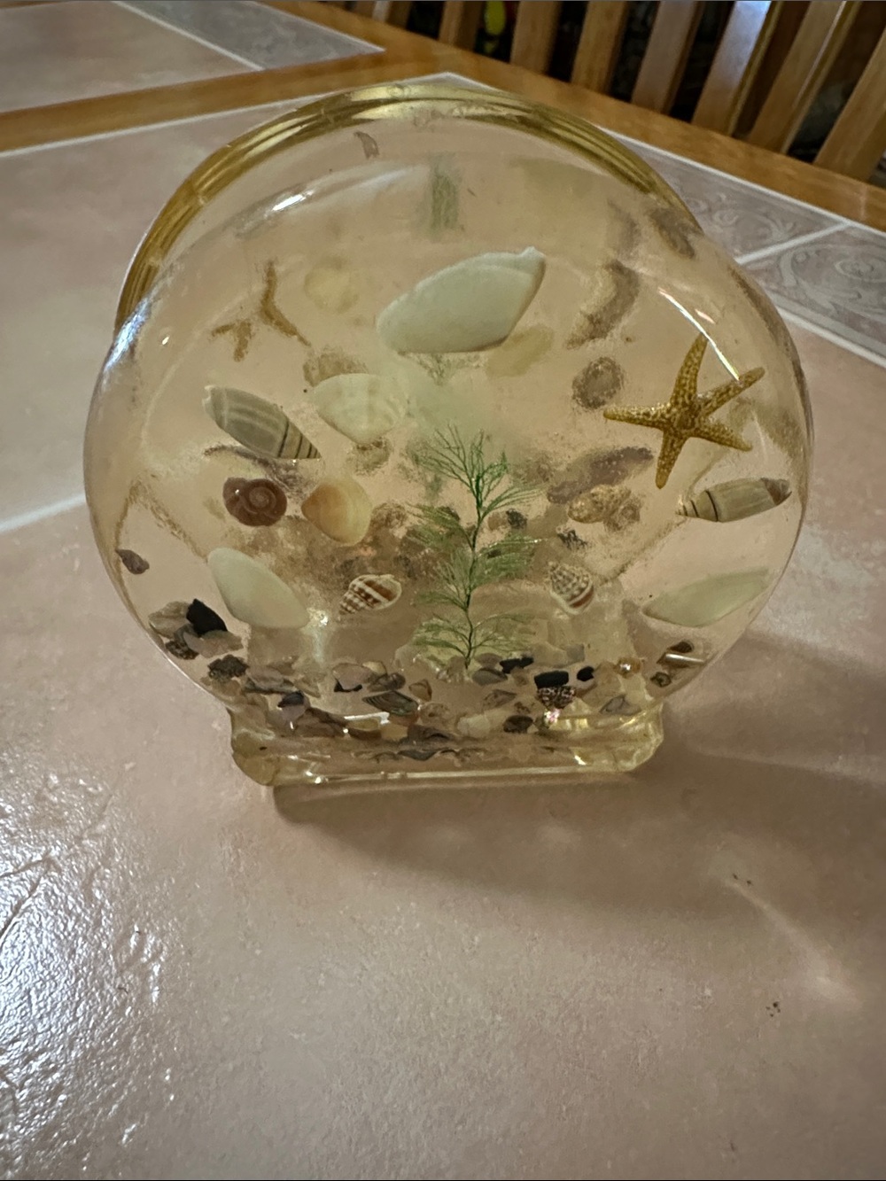 VTG Seashell & Starfish Resin Napkin Holder